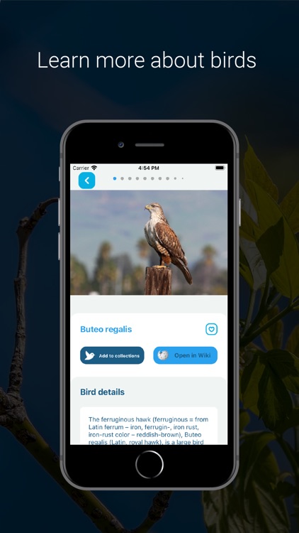 Bird Identifier - Bird ID screenshot-4