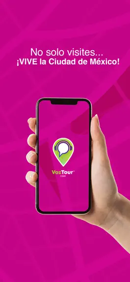 Game screenshot VozTour mod apk