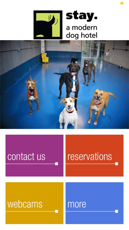 stay. a modern dog hotel