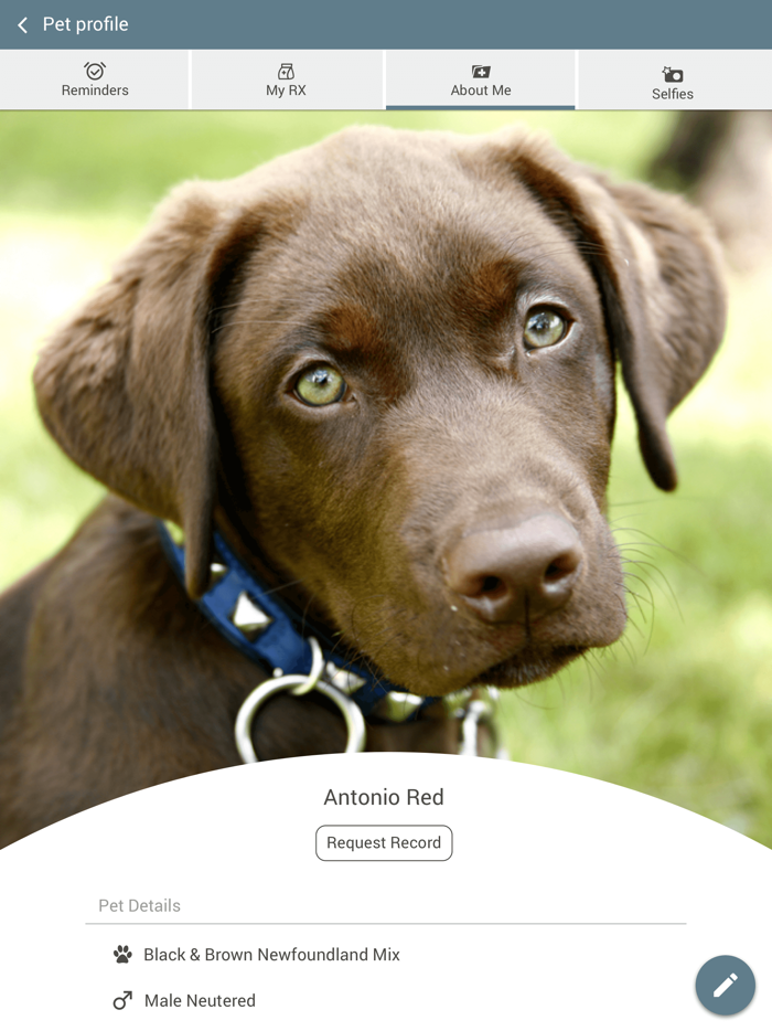 Riverstone Animal Hosp