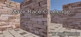 Game screenshot Maze Race Challenge mod apk