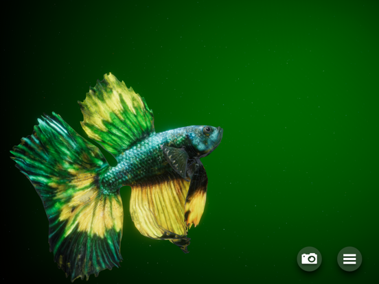 Betta Fish - Virtual Aquarium Screenshots