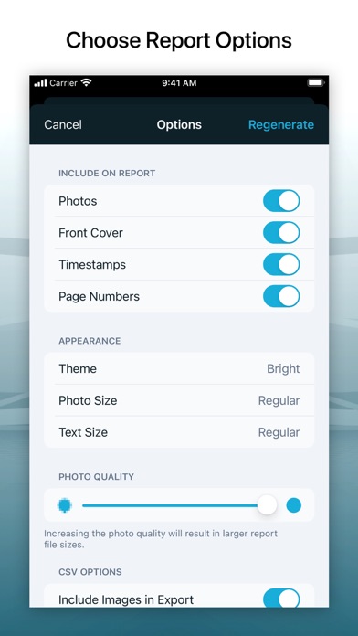 Site Audit Pro Site Audit Pro