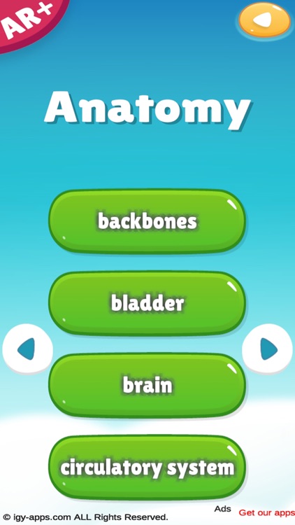 Anatomy AR 4D screenshot-7