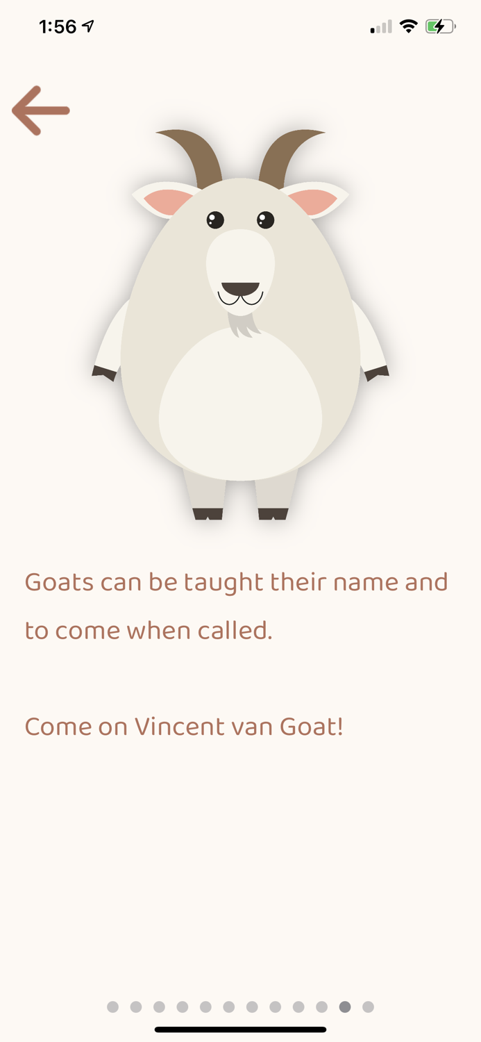 Animal Sounds and Fun Facts