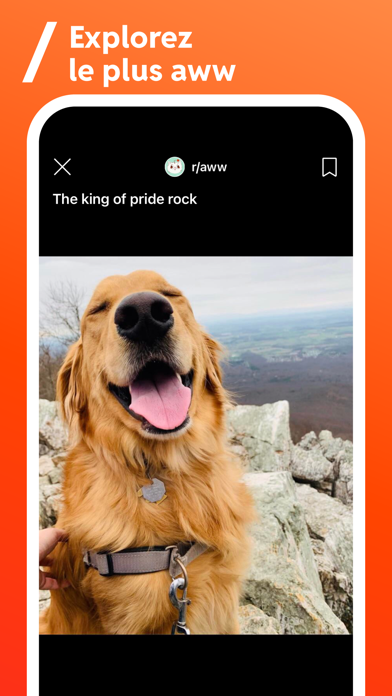 Reddit Reddit