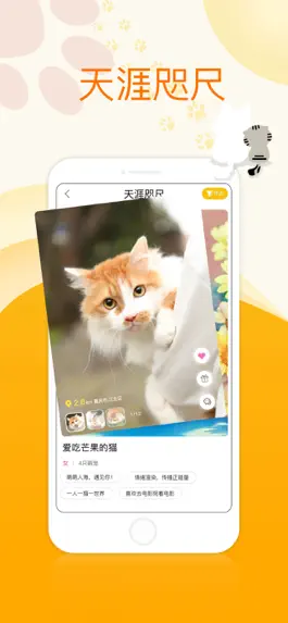 Game screenshot 104萌宠 apk