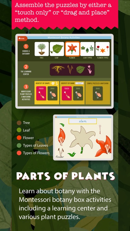 Montessori Science screenshot-4