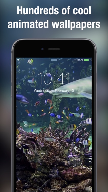Dynamic wallpapers & themes screenshot-3