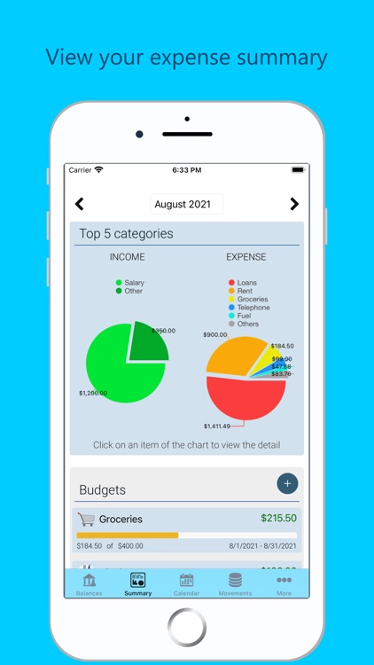 Saru - Expenses and Money