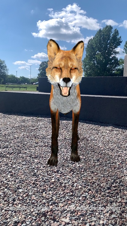 Mysteriet i parken screenshot-5