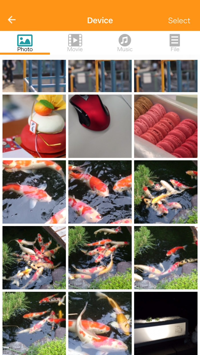 ELECOM EXtorage Link