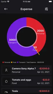budget money iphone screenshot 4