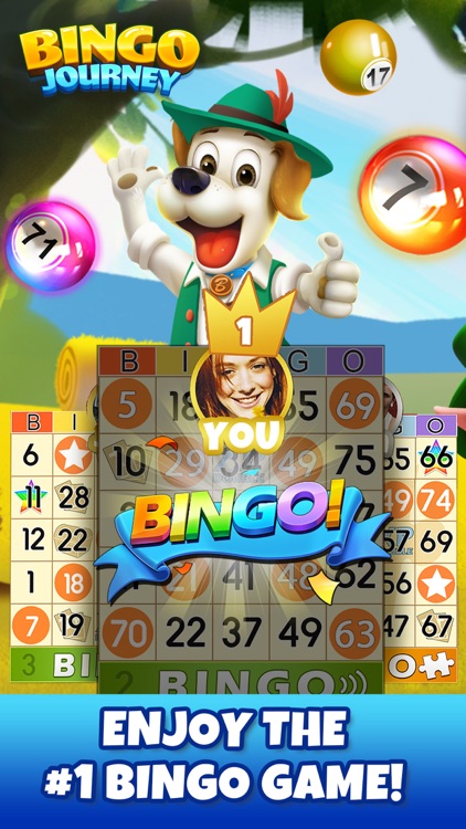 Bingo Journey！Real Bingo Games