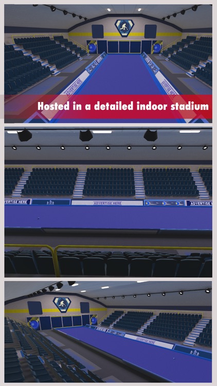 Virtual Indoor Bowls Pro screenshot-5