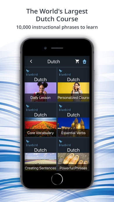 Bluebird: Learn Dutch screenshot 1