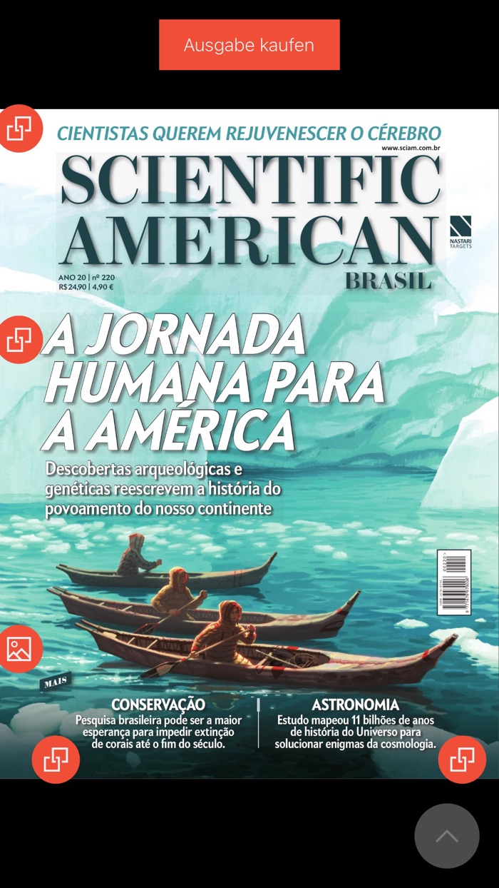 Scientific American Brasil.