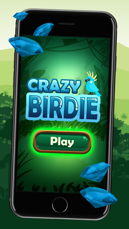 Crazy Birdie