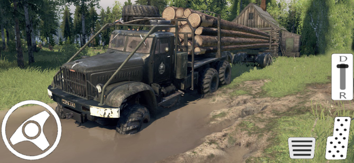 Wood Transport Truck Cargo