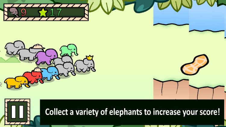 Elephants CHARGE!