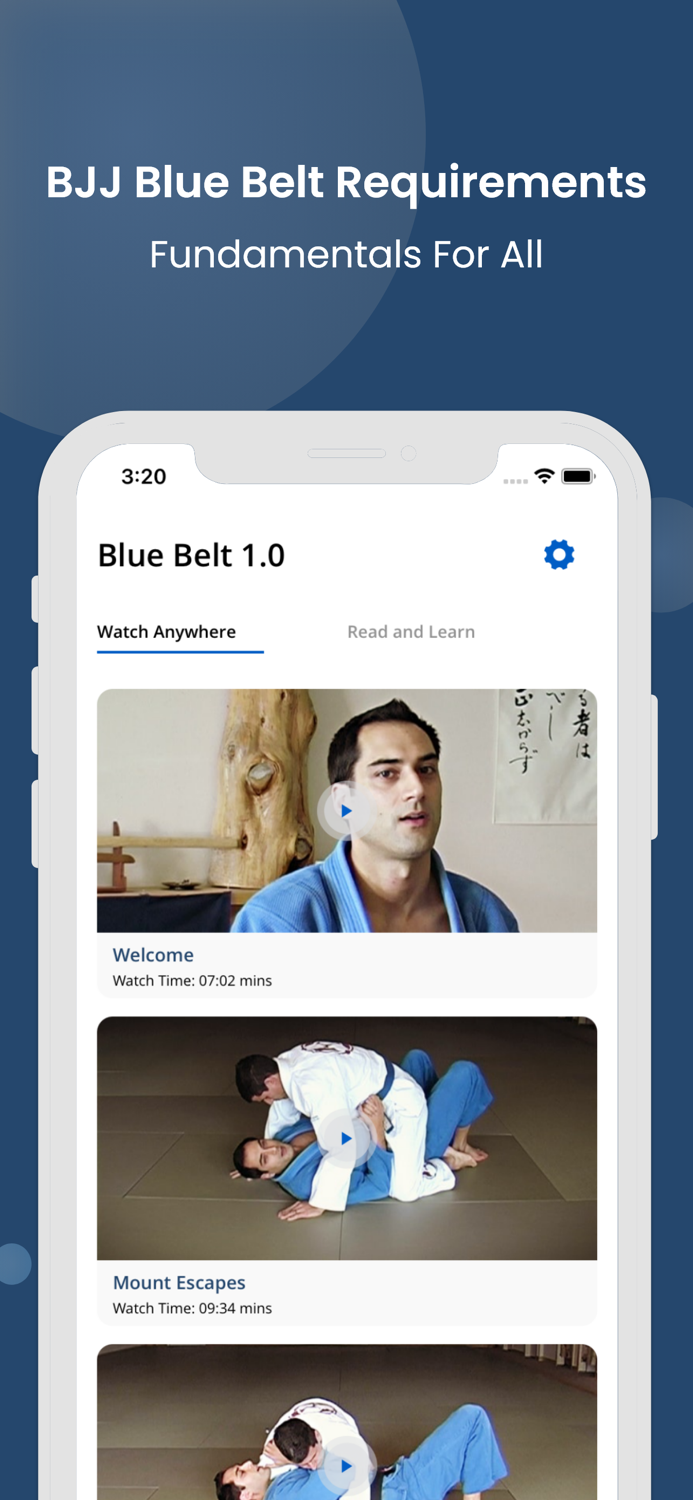 BJJ Blue Requirements 1.0