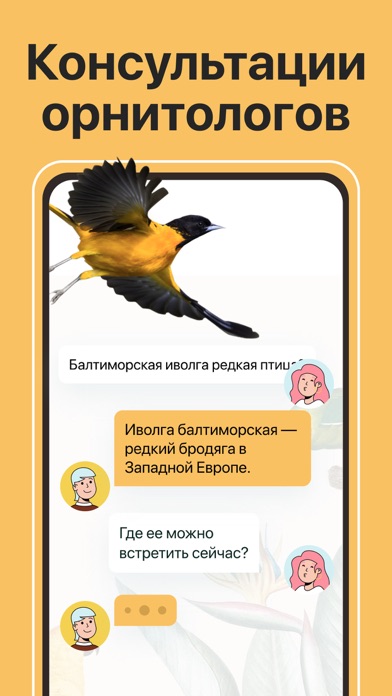 Птичка приложение акции. Программа распознавания птиц. Приложение с птичкой. Птичье приложение. Распознавание птиц по фото.