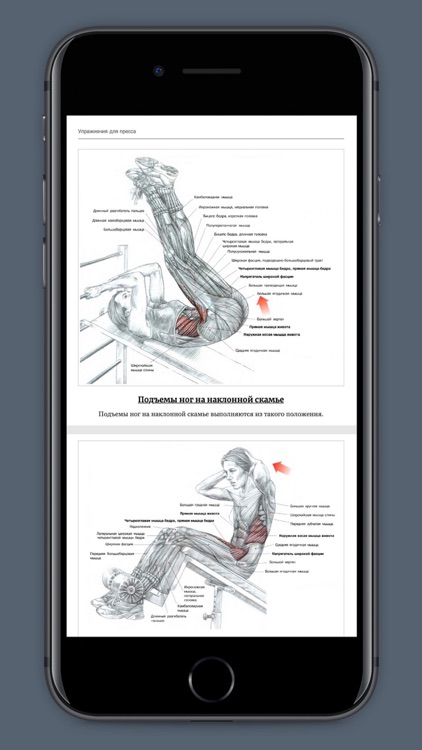 WowFit фитнес и йога