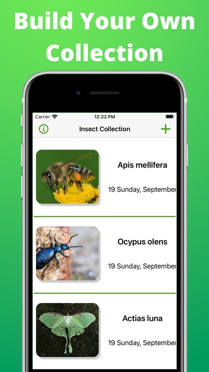 Bug identifier - Spider,Worm