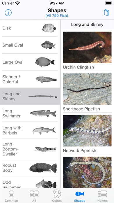 Solomon Islands Fish ID screenshot 6