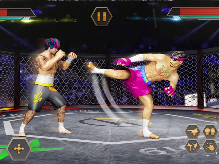 PRO Wrestling Kung Fu Fight