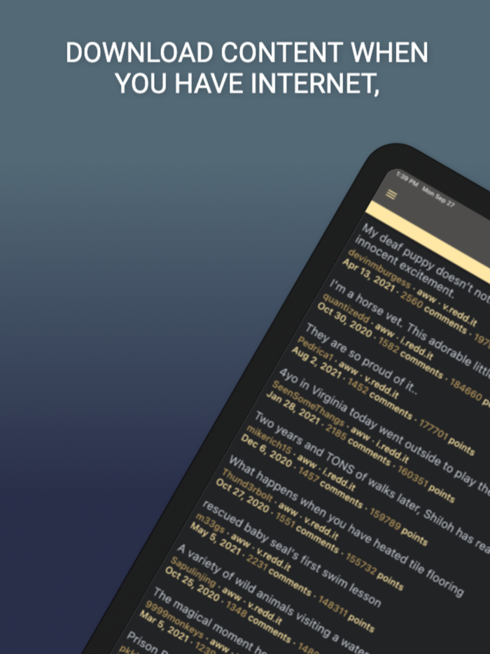 Offline Reader for reddit