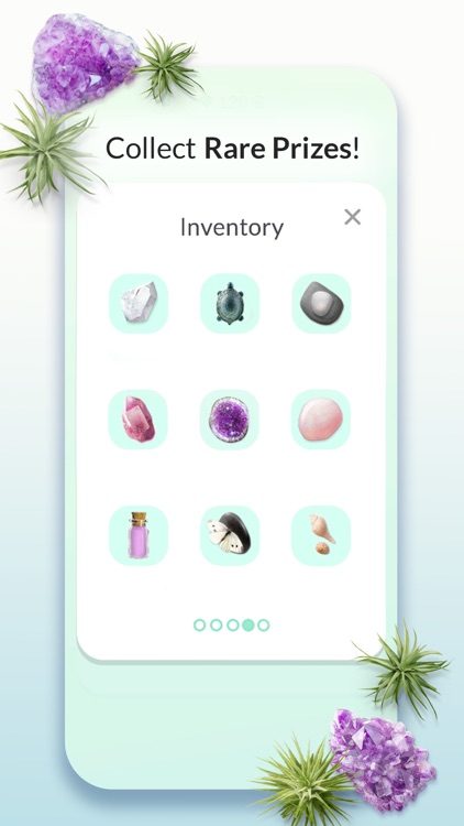 Garden Project Moments screenshot-4