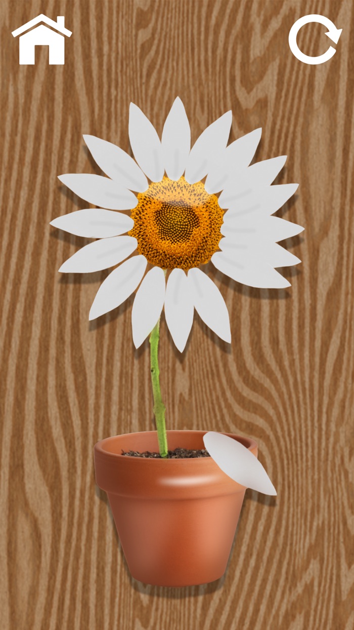 Antistress Fidget Toys poppet