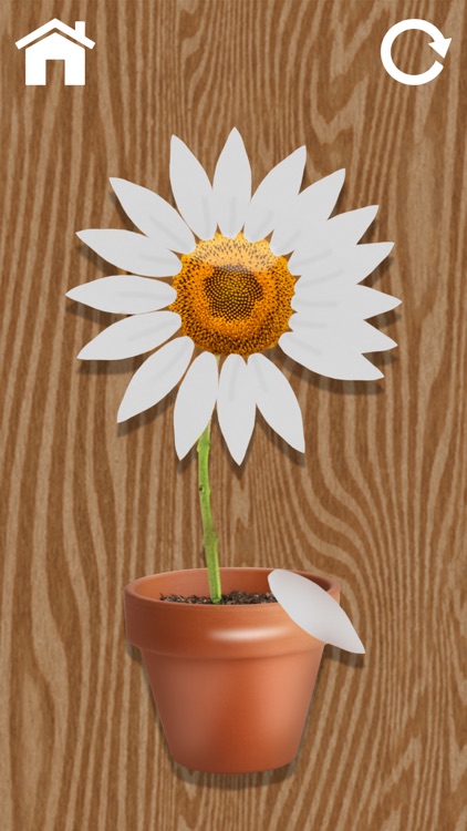 Antistress Fidget Toys poppet screenshot-5