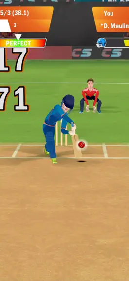 Game screenshot Cricket Star Pro hack