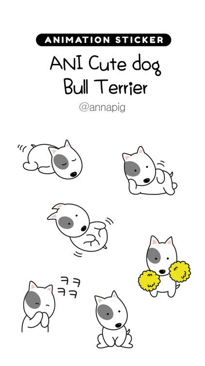 ANI Cute dog Bull Terrier