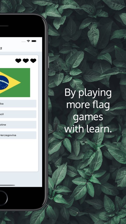 Flags of World Games screenshot-3