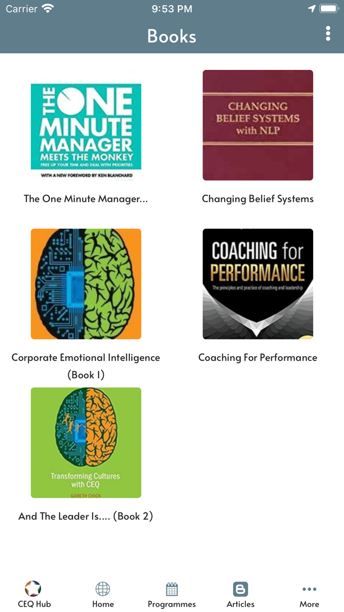 Collaborative Equity CEQ