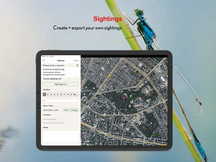 Dragonfly Id Britain  Europe