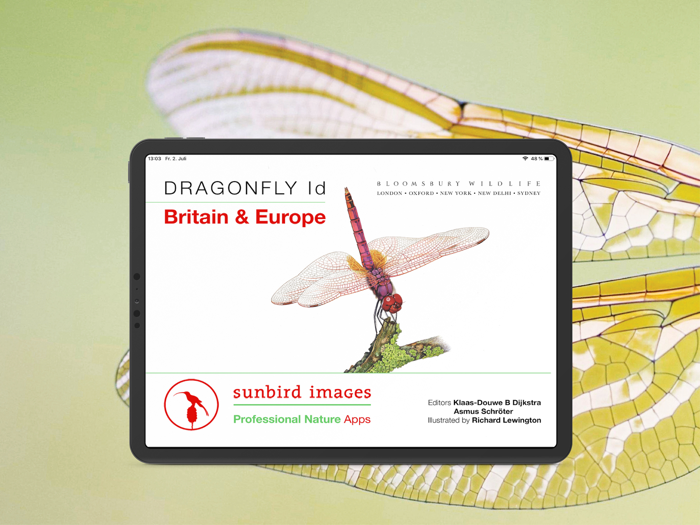 Dragonfly Id Britain  Europe