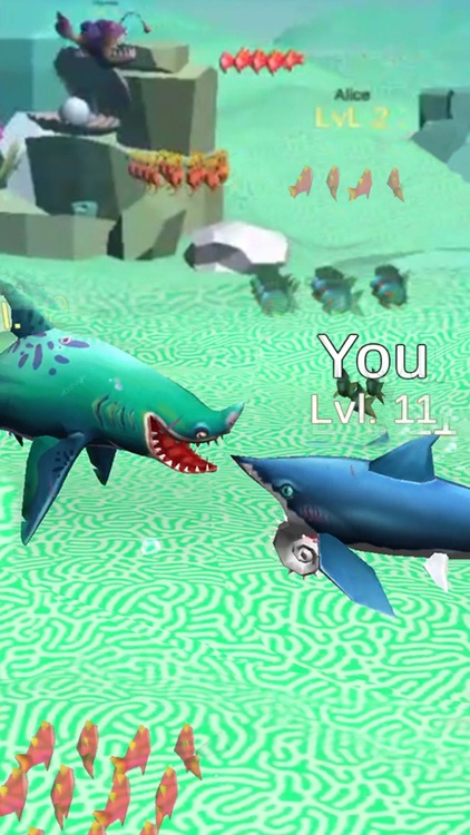 鲨鱼袭击 - Shark Attack game screenshot-5