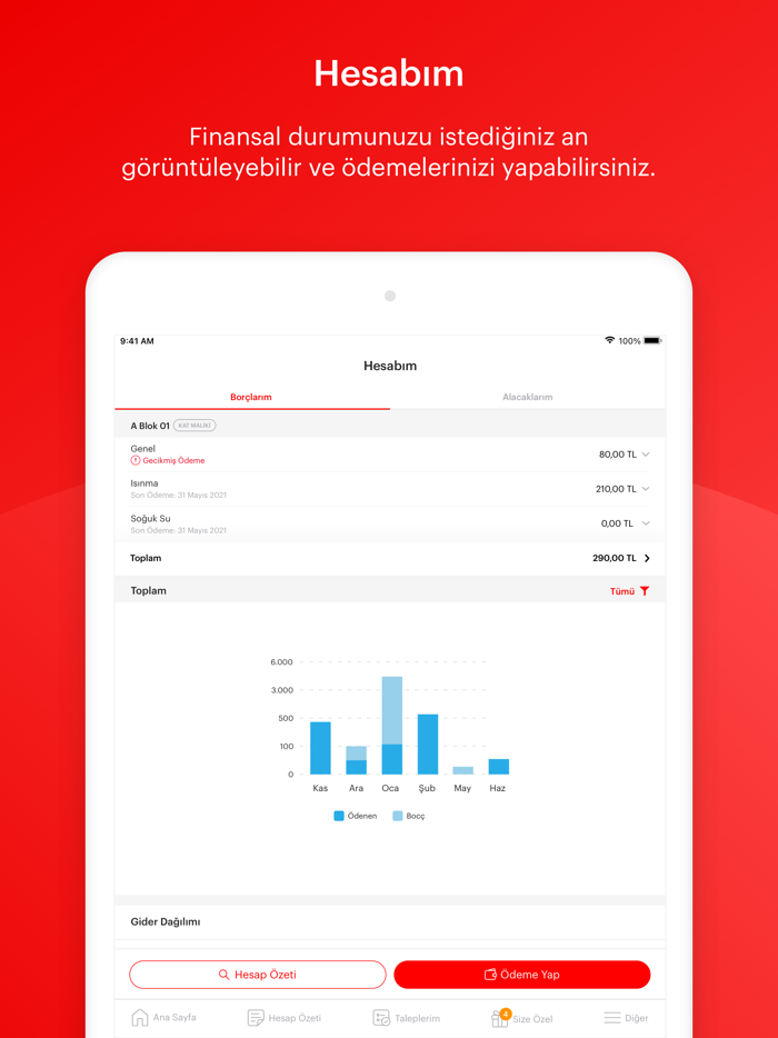 ProYönSis Profesyonel Yönetim