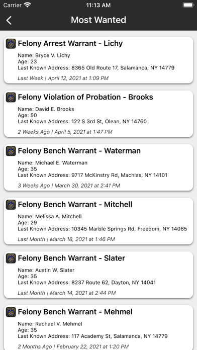 Cattaraugus County NY Sheriff screenshot 3