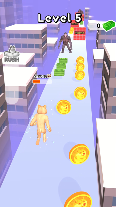 DogeCoinRunner