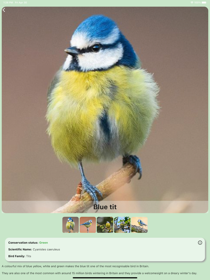 Redland Green Bird Box Survey