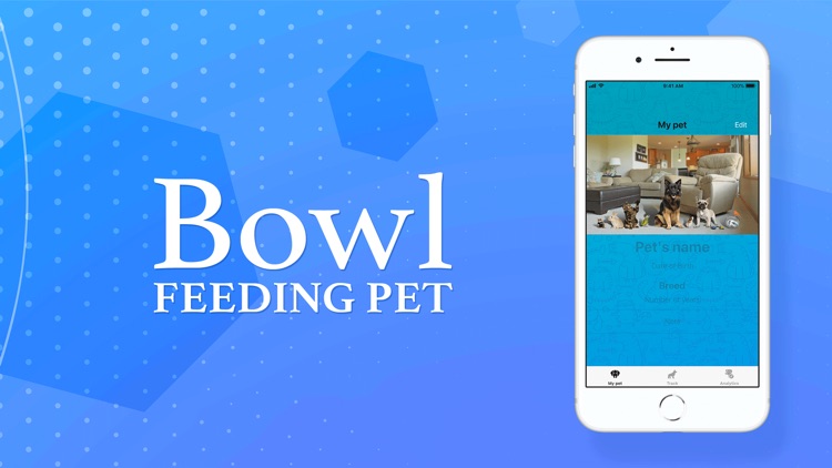 Bowl-Feeding Pet