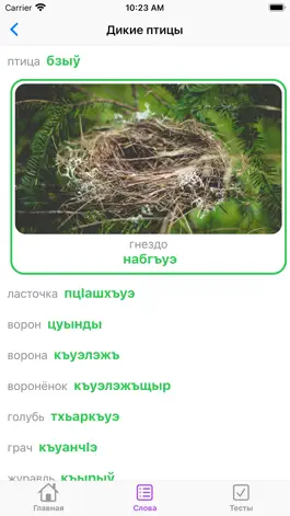 Game screenshot Словарик по темиргоевскому hack