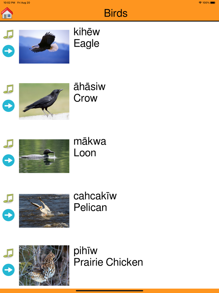 FDFN Cree Language App