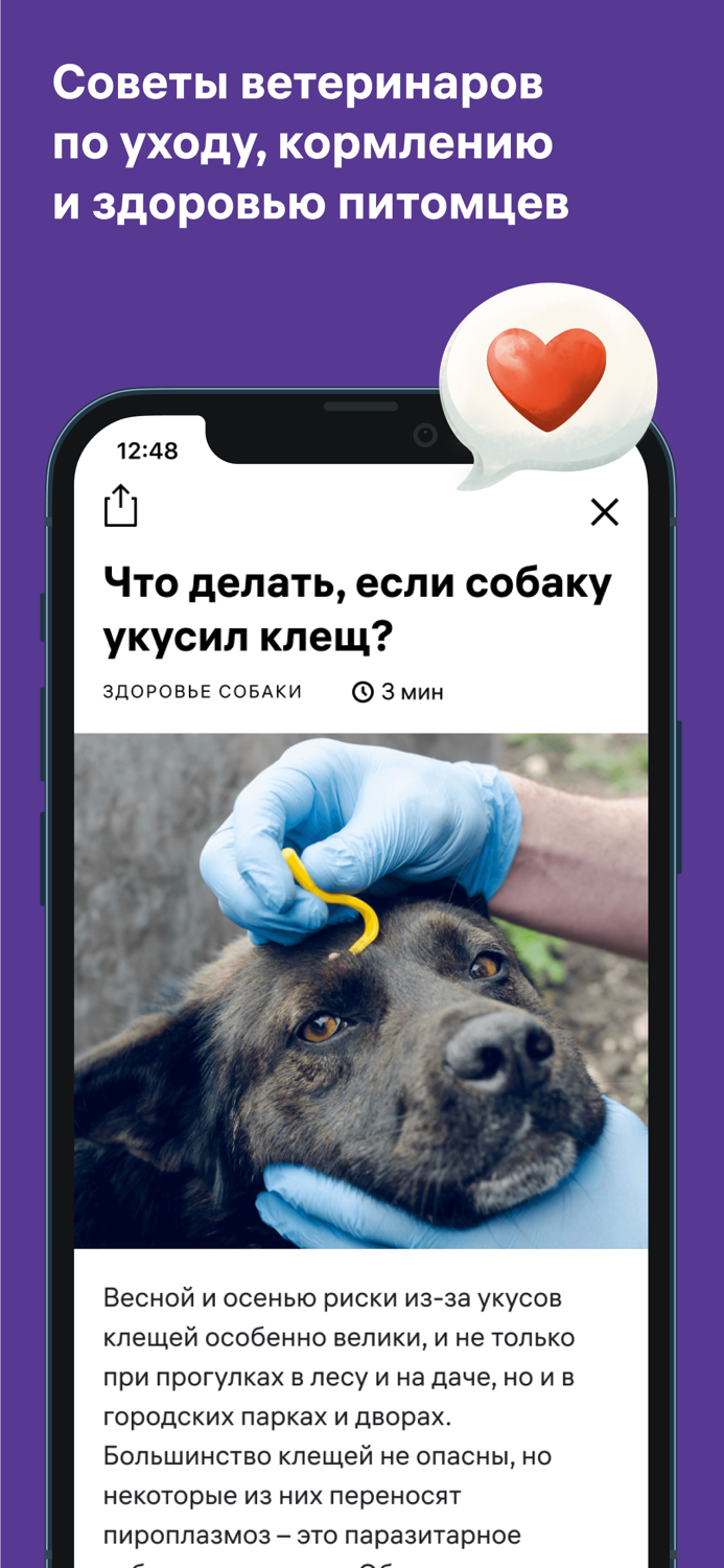 Petset дрессировка, ветеринар