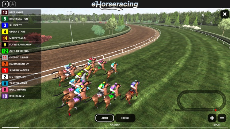 eHorseracing.com Race Viewer screenshot-5